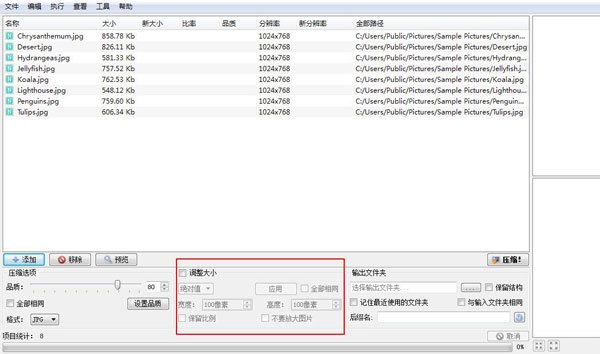 Caesium图片大小设置界面